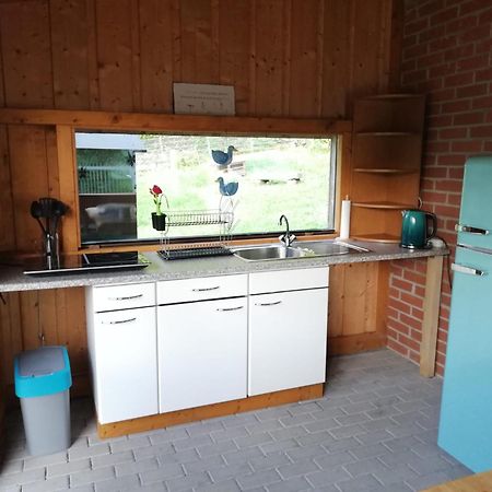 Ferienwohnung Und Sommerhaus Unter Der Burg Falkenberg  Extérieur photo