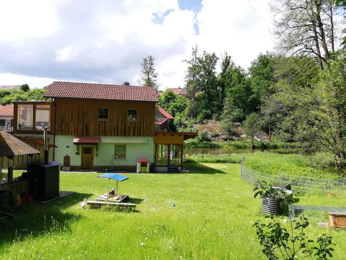 Ferienwohnung Und Sommerhaus Unter Der Burg Falkenberg  Extérieur photo
