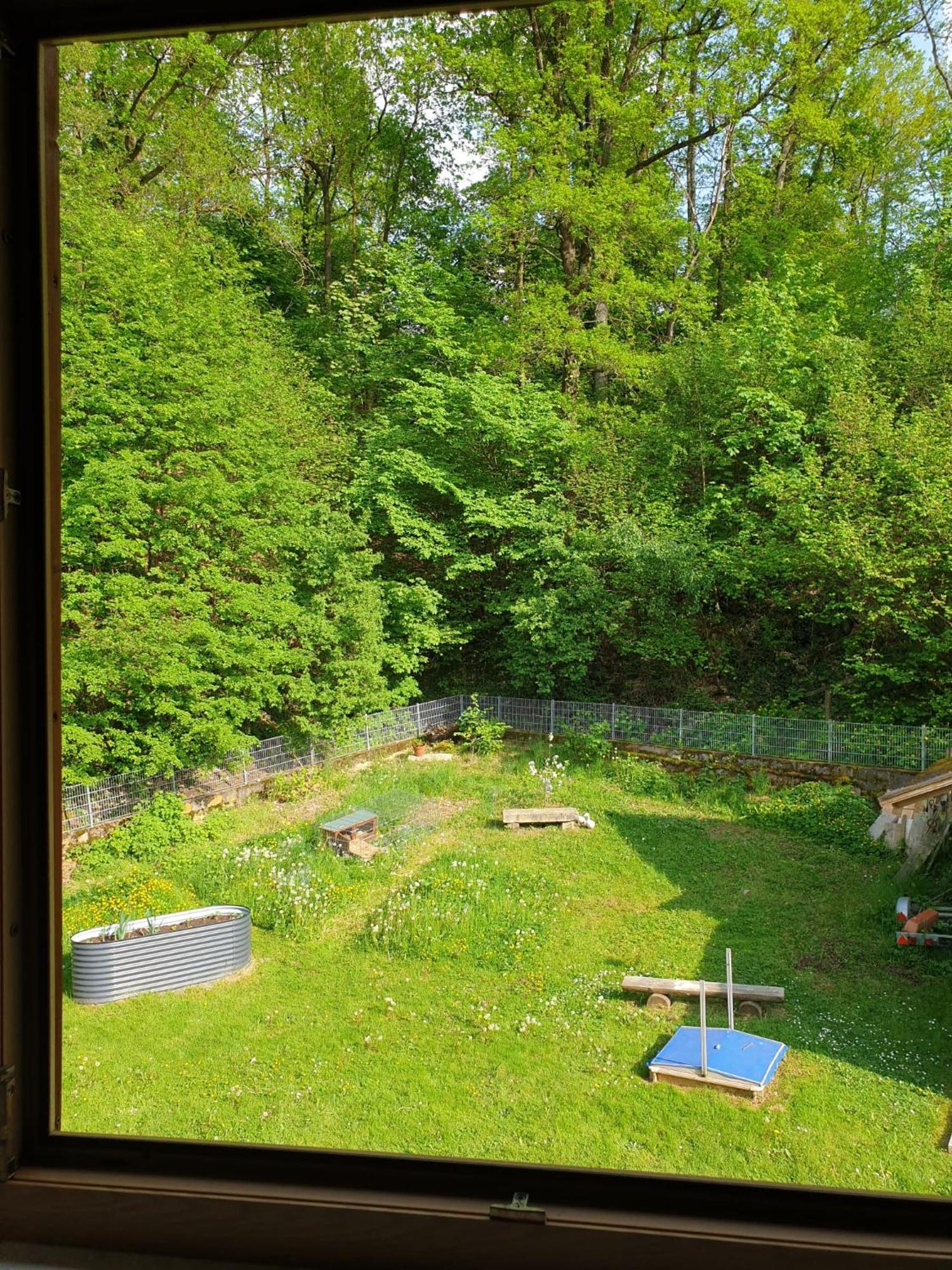 Ferienwohnung Und Sommerhaus Unter Der Burg Falkenberg  Extérieur photo